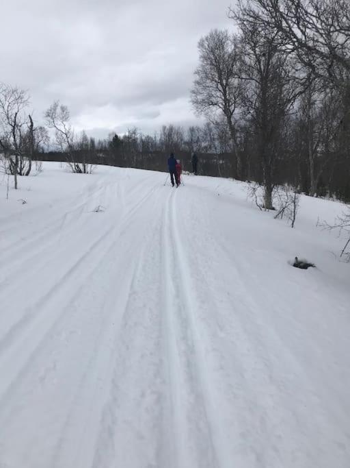 Trivelig Fritidshus Pa Arnes, Senja Straumstad Esterno foto