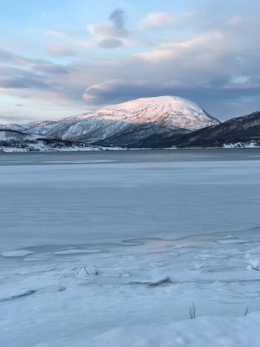 Trivelig Fritidshus Pa Arnes, Senja Straumstad Esterno foto