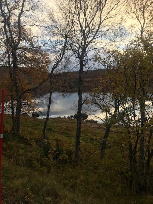 Trivelig Fritidshus Pa Arnes, Senja Straumstad Esterno foto
