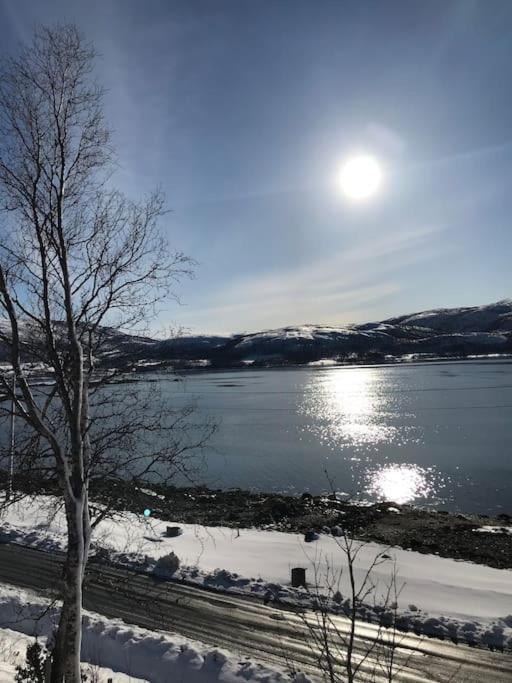 Trivelig Fritidshus Pa Arnes, Senja Straumstad Esterno foto
