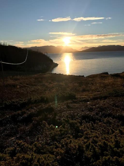Trivelig Fritidshus Pa Arnes, Senja Straumstad Esterno foto