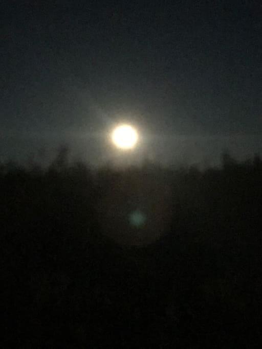 Trivelig Fritidshus Pa Arnes, Senja Straumstad Esterno foto