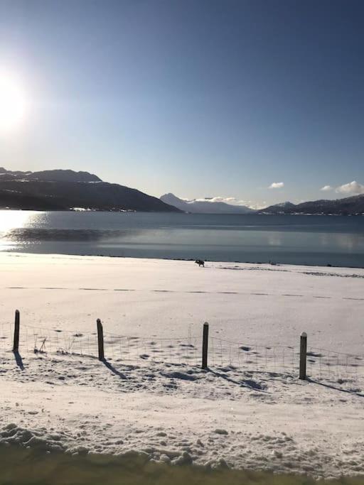 Trivelig Fritidshus Pa Arnes, Senja Straumstad Esterno foto