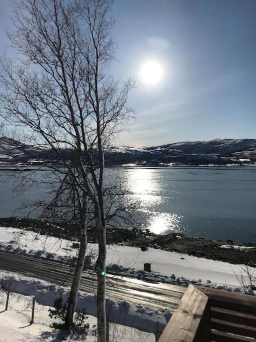 Trivelig Fritidshus Pa Arnes, Senja Straumstad Esterno foto